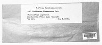 Image Associated With the Occurence